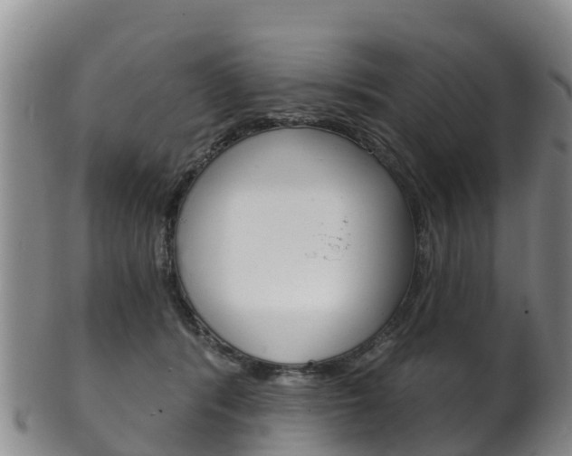 X0000102530416200808081057