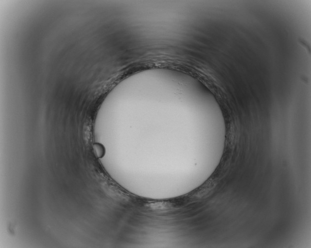 X0000102530417200808081057