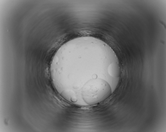 X0000102530418200808081057