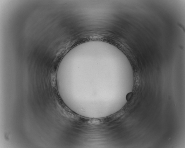 X0000102530419200808081057