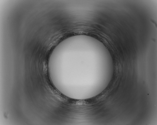 X0000102530420200808081057