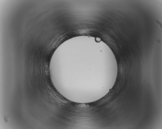 X0000102530421200808081057