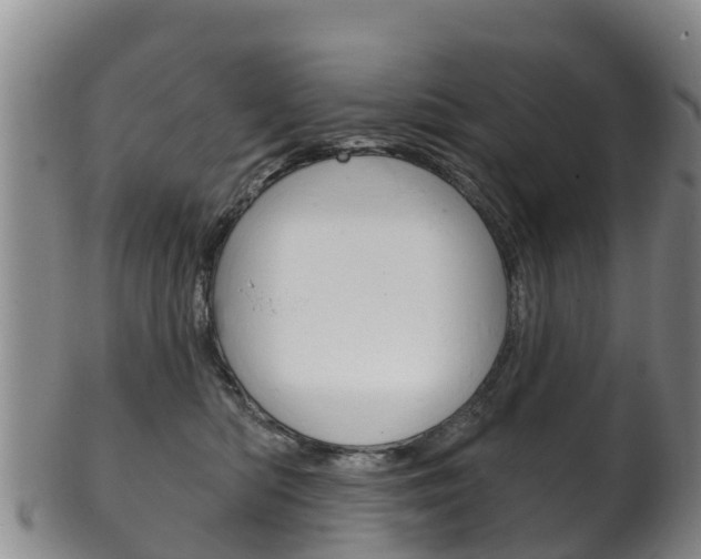 X0000102530422200808081057