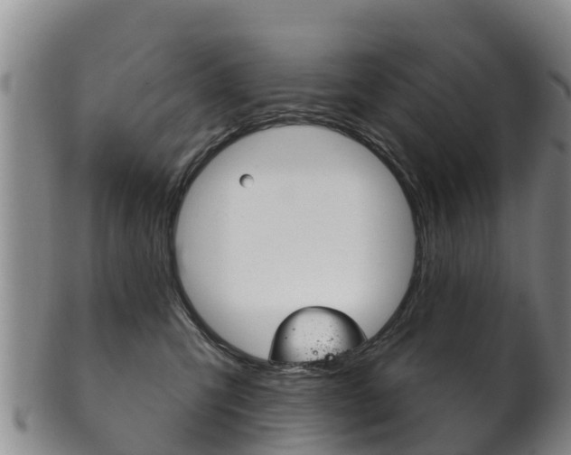 X0000102530423200808081057