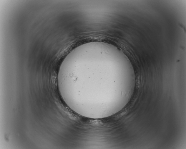 X0000102530424200808081057