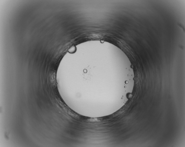 X0000102530425200808081057