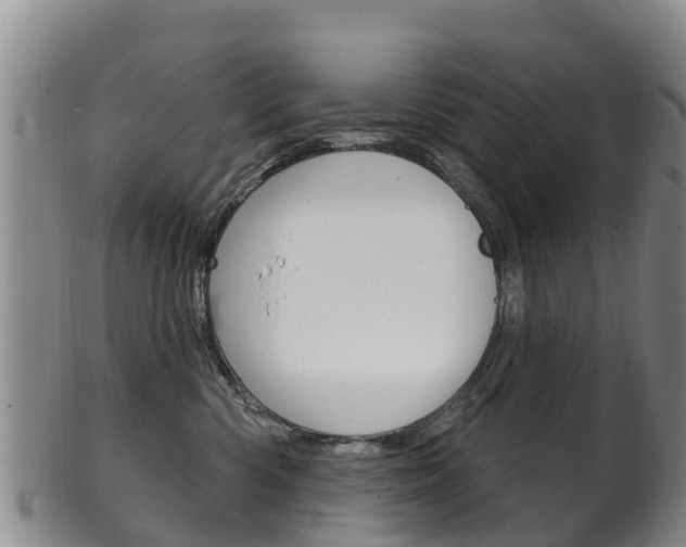 X0000102530426200808081057