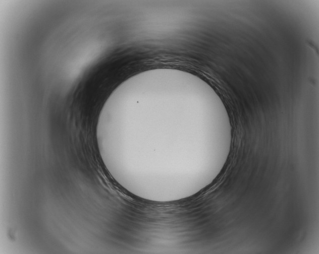 X0000102530429200808081057