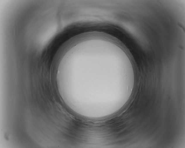 X0000102530431200808081057