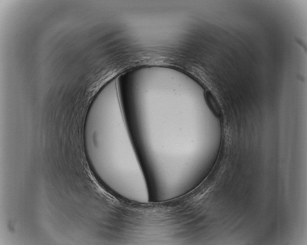 X0000102530433200808081056