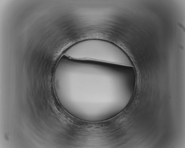 X0000102530434200808081056