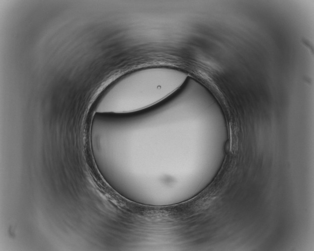 X0000102530435200808081056
