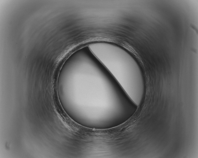 X0000102530436200808081056