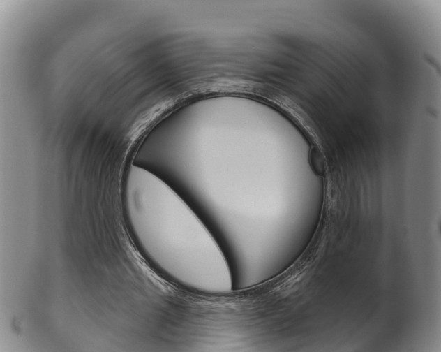 X0000102530437200808081056