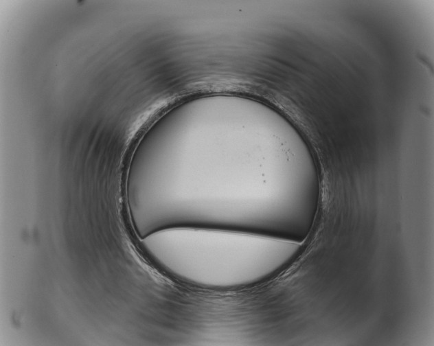 X0000102530438200808081056