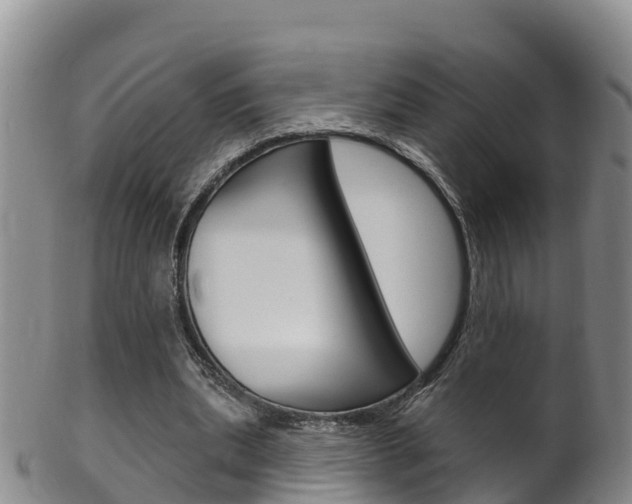 X0000102530439200808081056