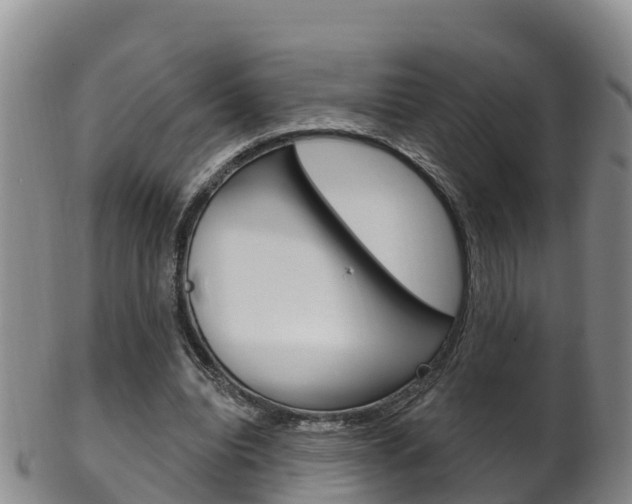 X0000102530440200808081056