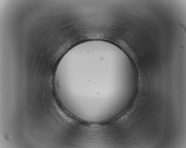 X0000102530441200808081056