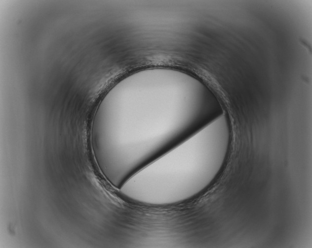 X0000102530442200808081056