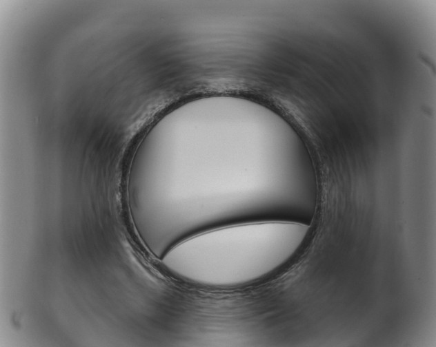 X0000102530443200808081056
