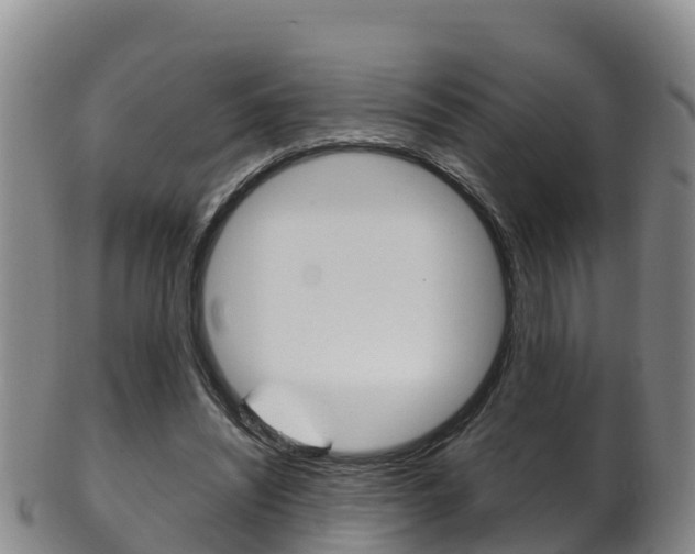 X0000102530444200808081056