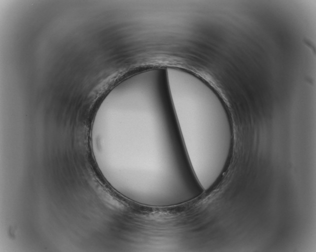 X0000102530445200808081056