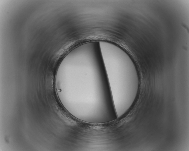 X0000102530446200808081056