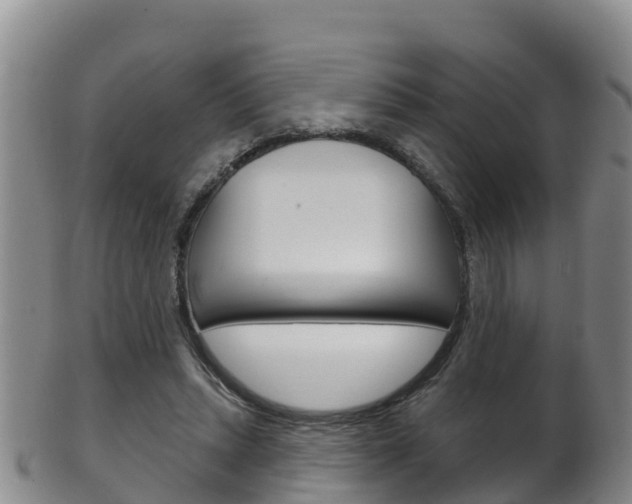 X0000102530447200808081056