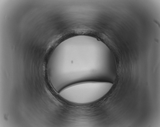X0000102530448200808081056