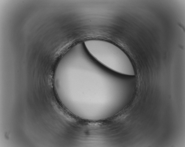X0000102530450200808081056