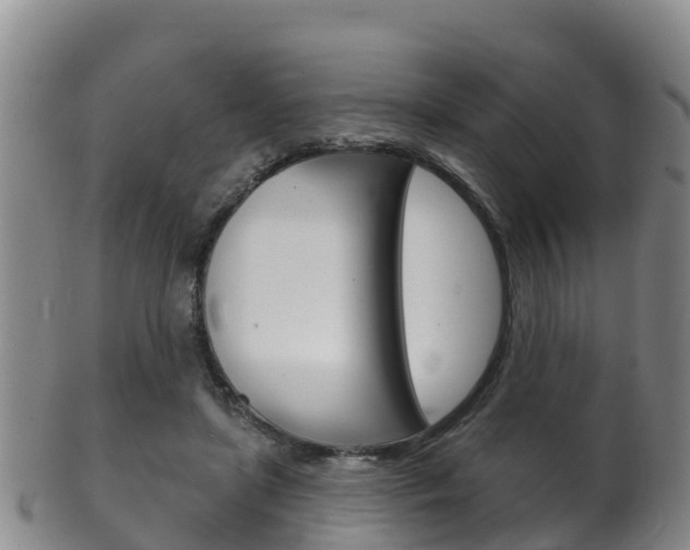X0000102530451200808081056