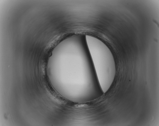 X0000102530452200808081056