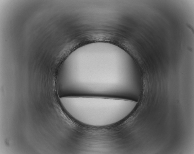 X0000102530453200808081056