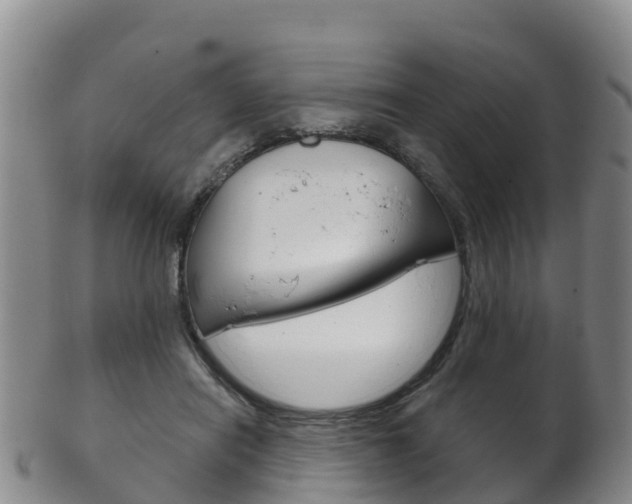 X0000102530454200808081056