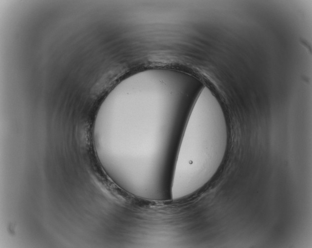 X0000102530455200808081056