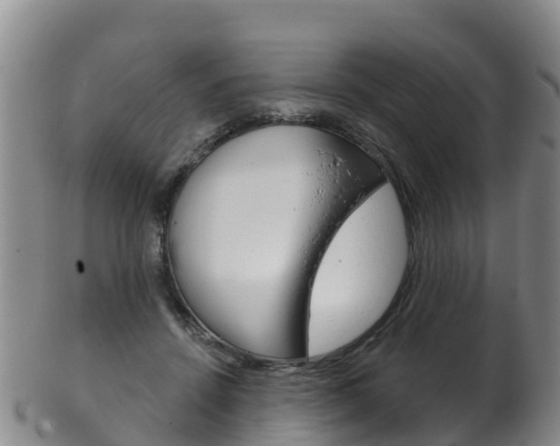 X0000102530456200808081056