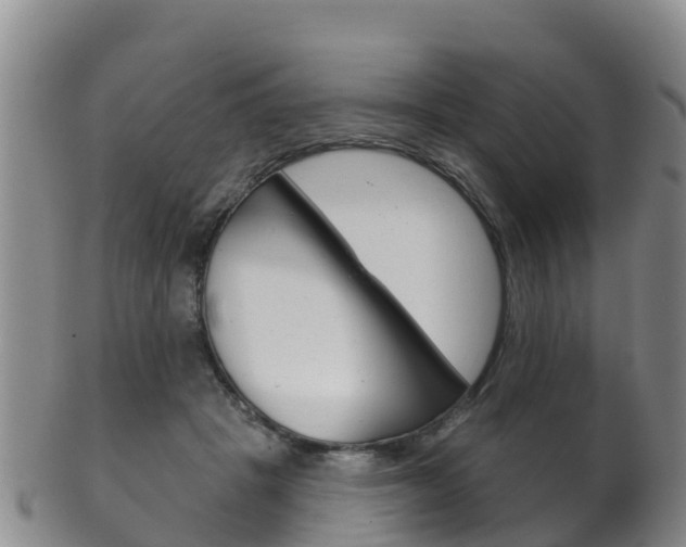 X0000102530457200808081056