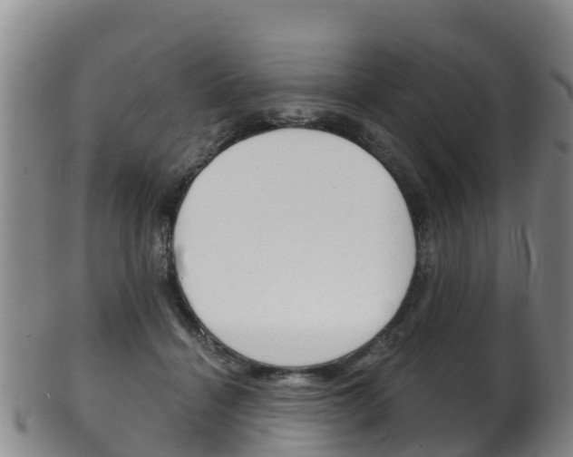 X0000102530460200808081056
