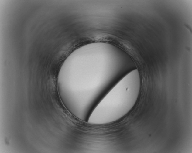 X0000102530461200808081056