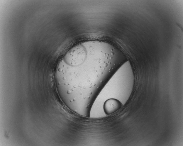 X0000102530462200808081056