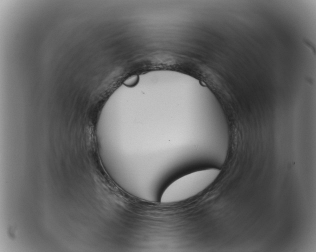 X0000102530463200808081056