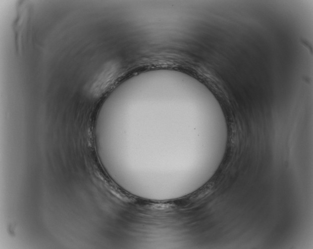 X0000102530465200808081056