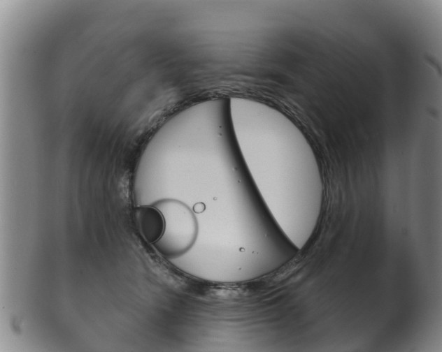 X0000102530466200808081056
