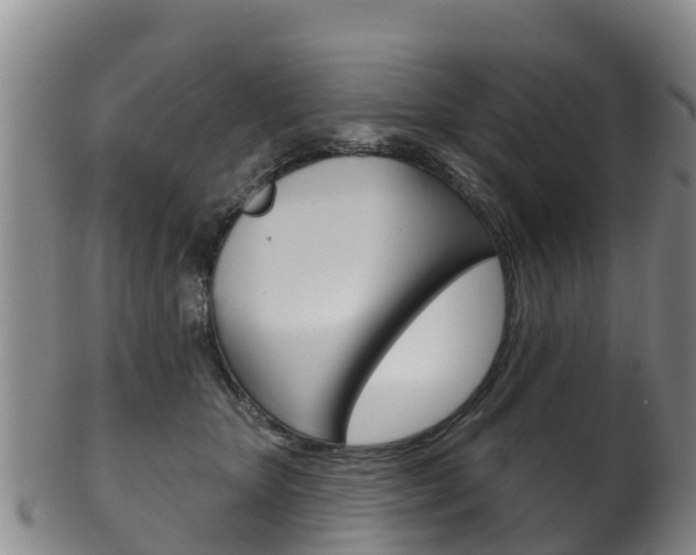 X0000102530467200808081056