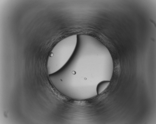 X0000102530469200808081056