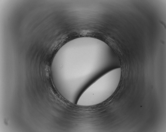 X0000102530470200808081056