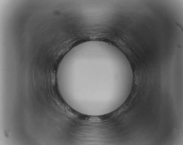 X0000102530471200808081056