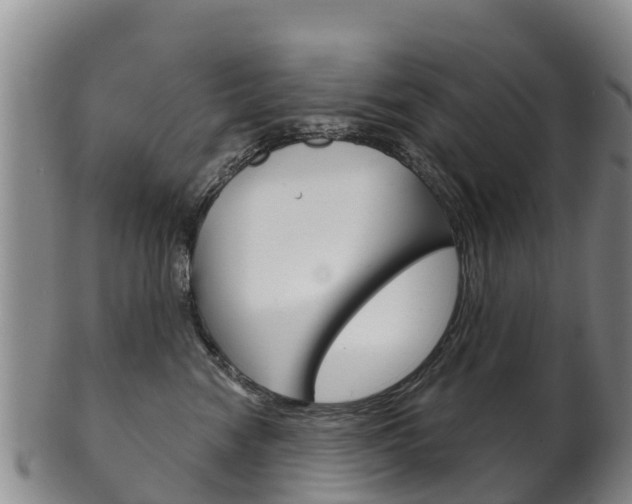 X0000102530474200808081056