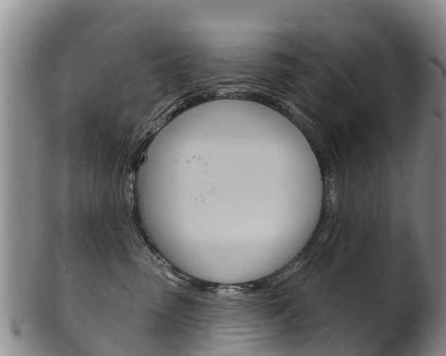 X0000102530475200808081056
