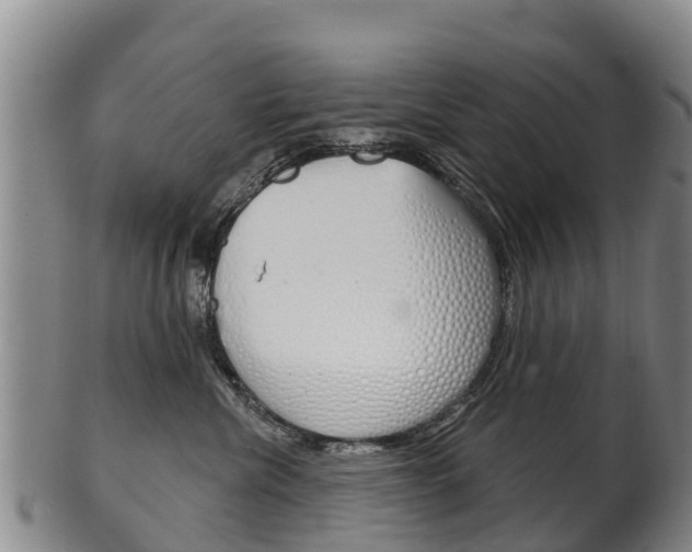 X0000102530476200808081056